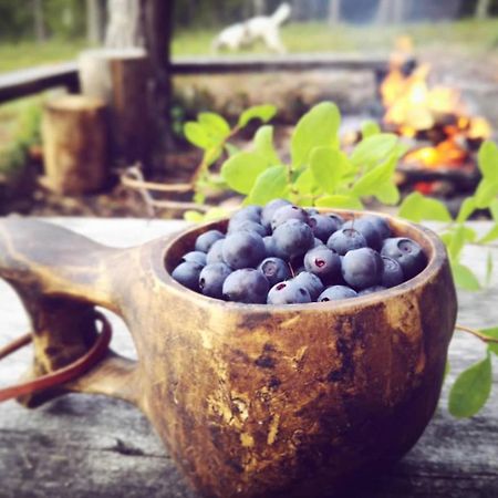 Tieva Lapland Apartment Rovaniemi Zewnętrze zdjęcie