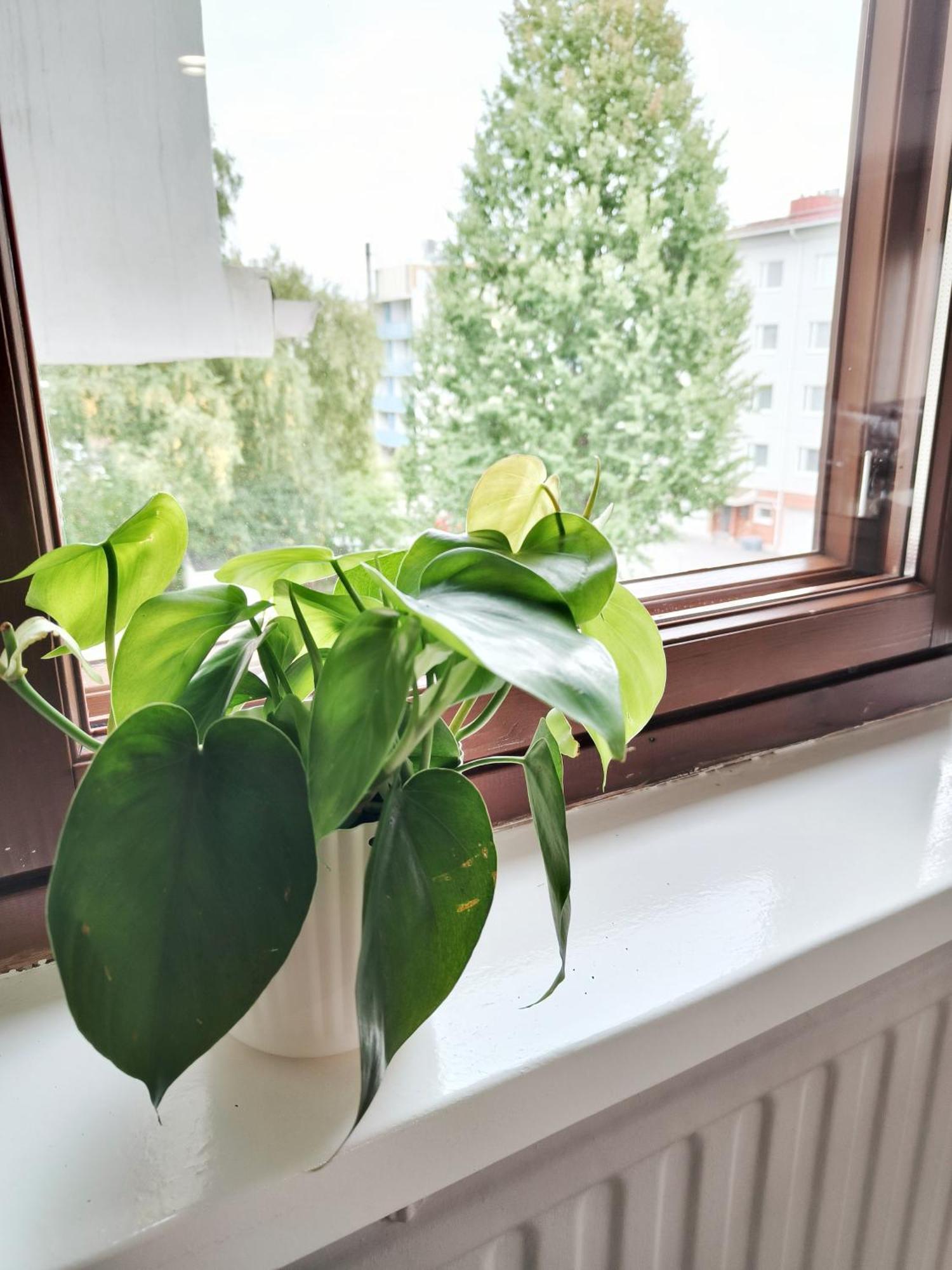 Tieva Lapland Apartment Rovaniemi Zewnętrze zdjęcie